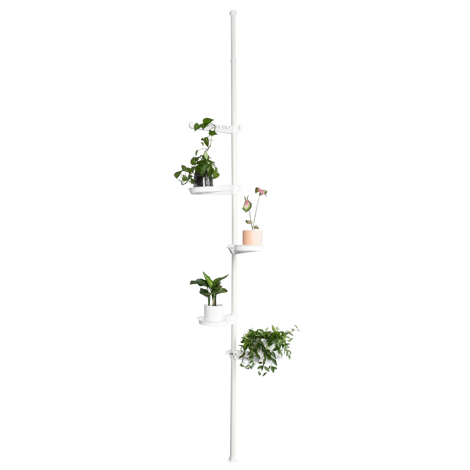 Image du produit 11